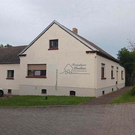 Ferienhaus Undine Mit E-Auto-Ladestation Ораніенбаум-Верліц Екстер'єр фото